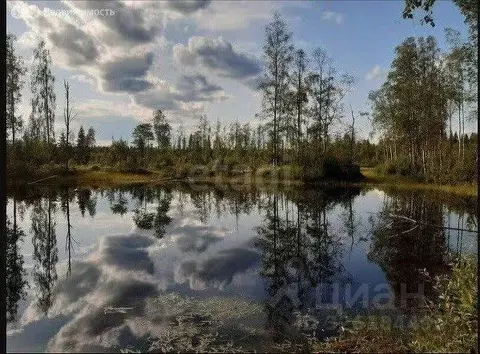 Участок в Ленинградская область, Всеволожский район, Агалатовское ...
