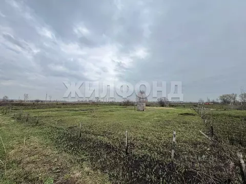 Участок в Новосибирская область, Новосибирский район, с. Криводановка ...