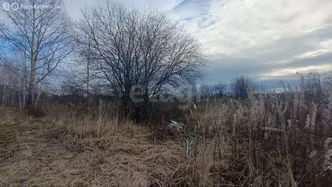 Участок в Кыштымский городской округ, посёлок Южная Кузнечиха (20 м)