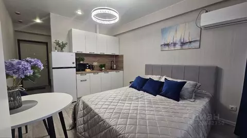 Студия Краснодарский край, Сочи ул. Искры, 66/9 (25.0 м)