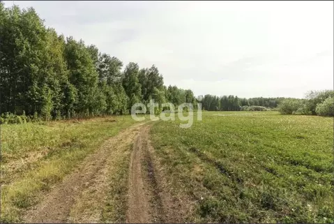 Участок в Тюменская область, Тюменский муниципальный округ, ...