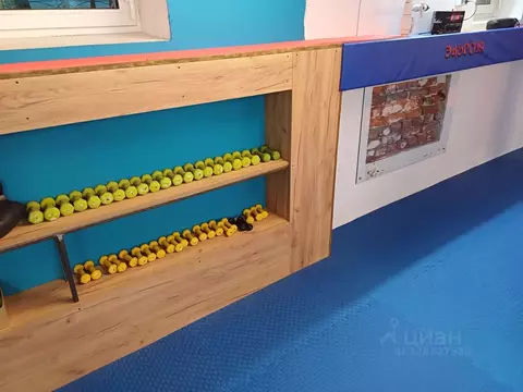 Помещение свободного назначения в Санкт-Петербург просп. Тореза, 35К3 ...