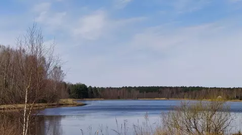 Продается участок в д. Александрово