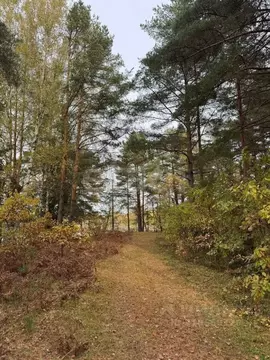 Участок в Костромская область, Красносельский район, Шолоховское ...