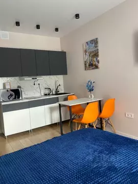 Студия Краснодарский край, Сочи ул. Искры, 88к3 (27.8 м)