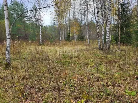 Участок в Ленинградская область, Выборгский район, Первомайское с/пос, ...