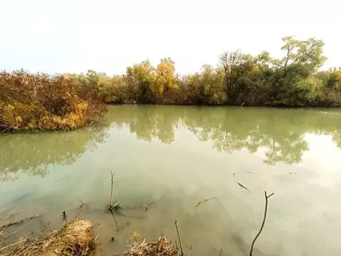 Участок в Краснодарский край, Темрюк  (4.0 сот.)