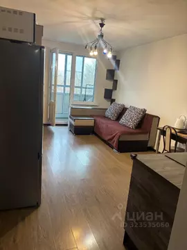 Студия Санкт-Петербург просп. Энергетиков, 11к5 (25.0 м)