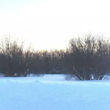 Участок в Ханты-Мансийский АО, Ханты-Мансийского муниципального района ...