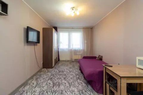 Студия Красноярский край, Красноярск Норильская ул., 40 (26.0 м)