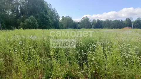 Участок в Калужская область, Совхоз Боровский с/пос, д. Комлево ул. ...