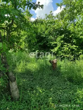 Участок в Ростовская область, Сальский район, Рыбасовское с/пос, Луч ...