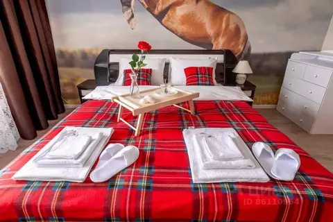 1-к кв. Нижегородская область, Нижний Новгород ул. Родионова, 43 (61.0 ...