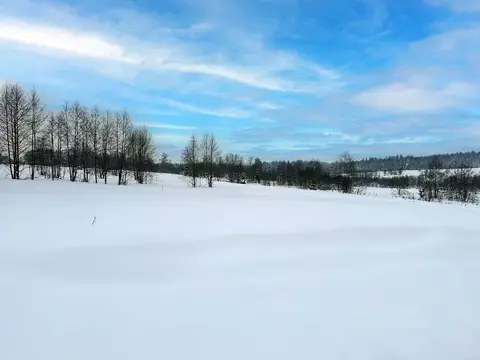 Участок в Московская область, Дмитровский муниципальный округ, ...