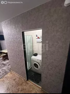 Квартира-студия: Барнаул, улица Эмилии Алексеевой, 60 (20 м)