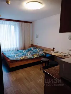 Студия Москва Алтуфьевское ш., 2 (22.0 м)