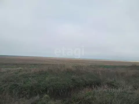 Участок в Крым, Ленинский район, Семисотское с/пос, с. Каменское ул. ...