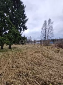 Участок в Калининградская область, Зеленоградский муниципальный округ, ...