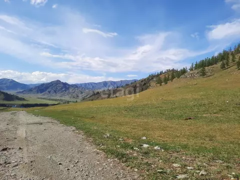 Участок в Алтай, Онгудайский район, Хабаровское с/пос, с. Улита ул. ...