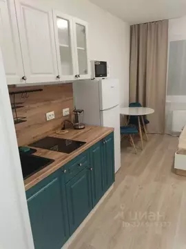 Студия Санкт-Петербург ул. Пахомовская, 18к1 (20.0 м)