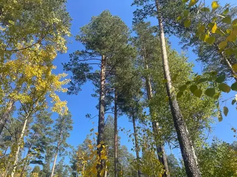 Участок в Иркутская область, Иркутск Славный мкр, ул. Перспективная ...