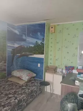 2-к кв. Пермский край, Лысьва ул. Чапаева, 17 (46.4 м)