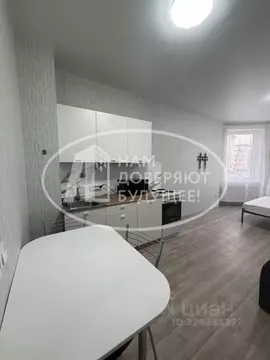 Студия Пермский край, Пермь Коломенская ул., 49А (28.0 м)