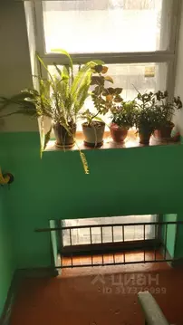 2-к кв. Пермский край, Пермь ул. Охотников, 20 (42.6 м)