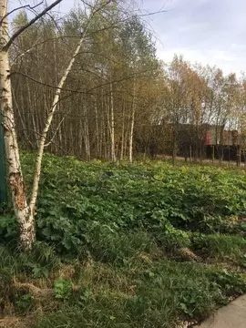 Участок в Москва пос. Подсобного хозяйства Минзаг, 1 (6.0 сот.)