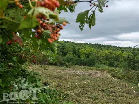 Участок в Приморский край, Артем Родник-1 СНТ, ул. Лесная (10.0 сот.)