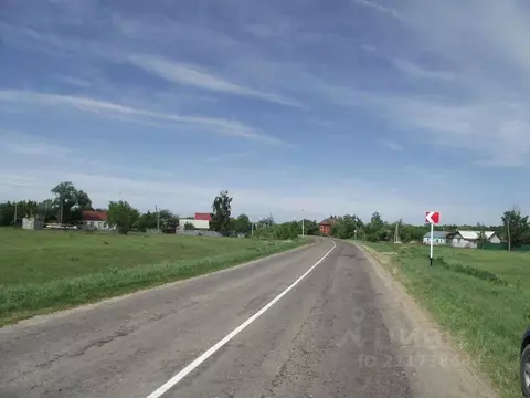 Участок в Воронежская область, Рамонский район, д. Борки ул. Мира ...