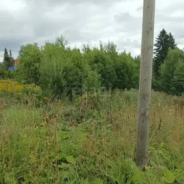 Участок в Пермский край, Пермский муниципальный округ, Ключики № 10 ...