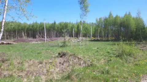 Участок в Ярославская область, Ярославский муниципальный округ, д. ...