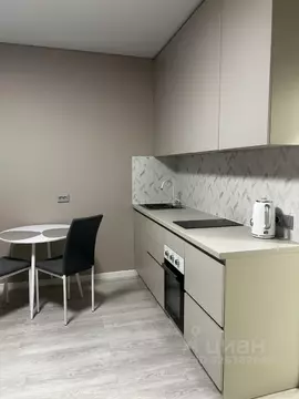 Студия Санкт-Петербург ул. Струве, 12к1 (24.3 м)