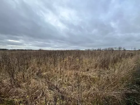 Участок в Ярославская область, Ярославский муниципальный округ, ...