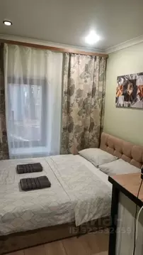 Студия Москва просп. Вернадского, 41С1 (17.0 м)