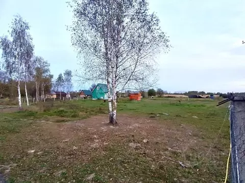 Участок в Московская область, Коломна городской округ, с. Чанки  (12.0 ...