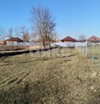 Участок в Краснодарский край, Красноармейский район, Новомышастовское ...