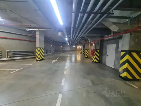 Гараж в Санкт-Петербург просп. Тореза, 118 (17 м)