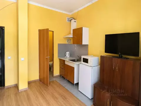 1-к кв. Краснодарский край, Сочи Виноградная ул., 216/6 (18.0 м)