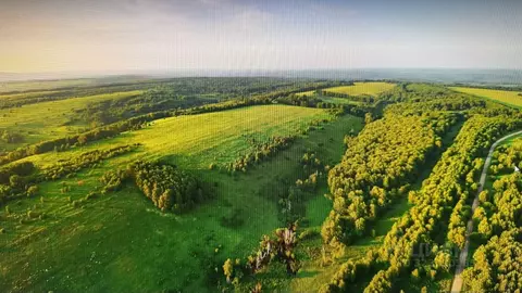 Участок в Алтайский край, Кытмановский район, пос. Кытманушка  (16.5 ...