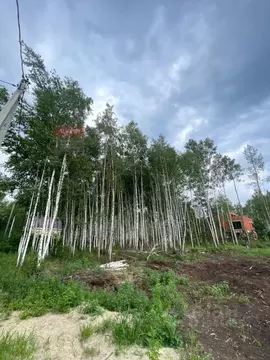Участок в Рязанская область, Рязанский район, Заборьевское с/пос, с. ...