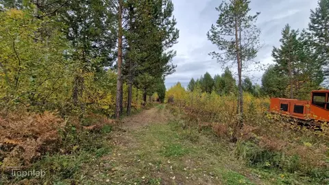 Участок в Иркутская область, Иркутский муниципальный округ, Пчелка СНТ ...