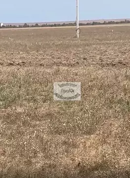 Участок в Крым, Черноморский район, Окуневское с/пос, с. Знаменское  ...