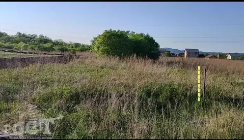 Участок в Приморский край, Артемовский городской округ, с. Кневичи ...