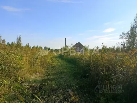 Участок в Тюменская область, Нижнетавдинский район, Сочинские СНТ 17-я ...