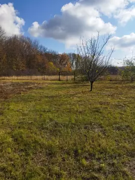 Дом в Белгородская область, Белгородский район, Никольское с/пос, с. ...
