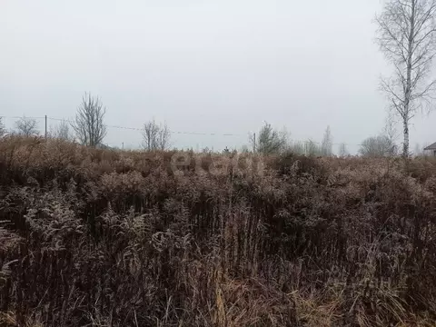 Участок в Брянская область, Брянский район, Добрунское с/пос, БЭМЗ СДТ ...