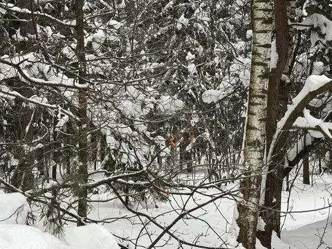 Участок в Московская область, Богородский городской округ, д. Марьино ...