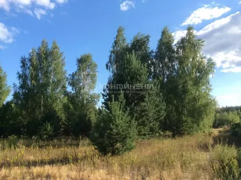 Участок в Владимирская область, Селивановский муниципальный округ, ...